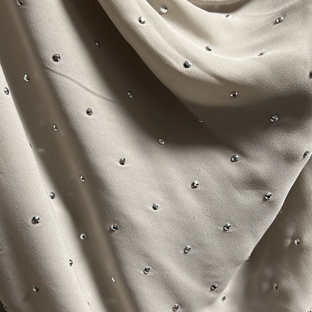 Express Dress - Picture 4 of 5